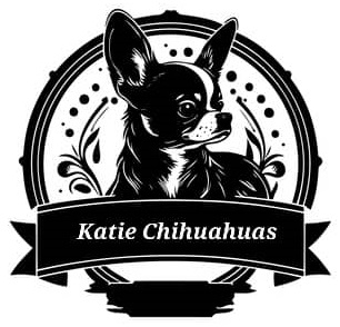 Chihuahua Puppies For Sale – AKC Chihuahuasby Katie